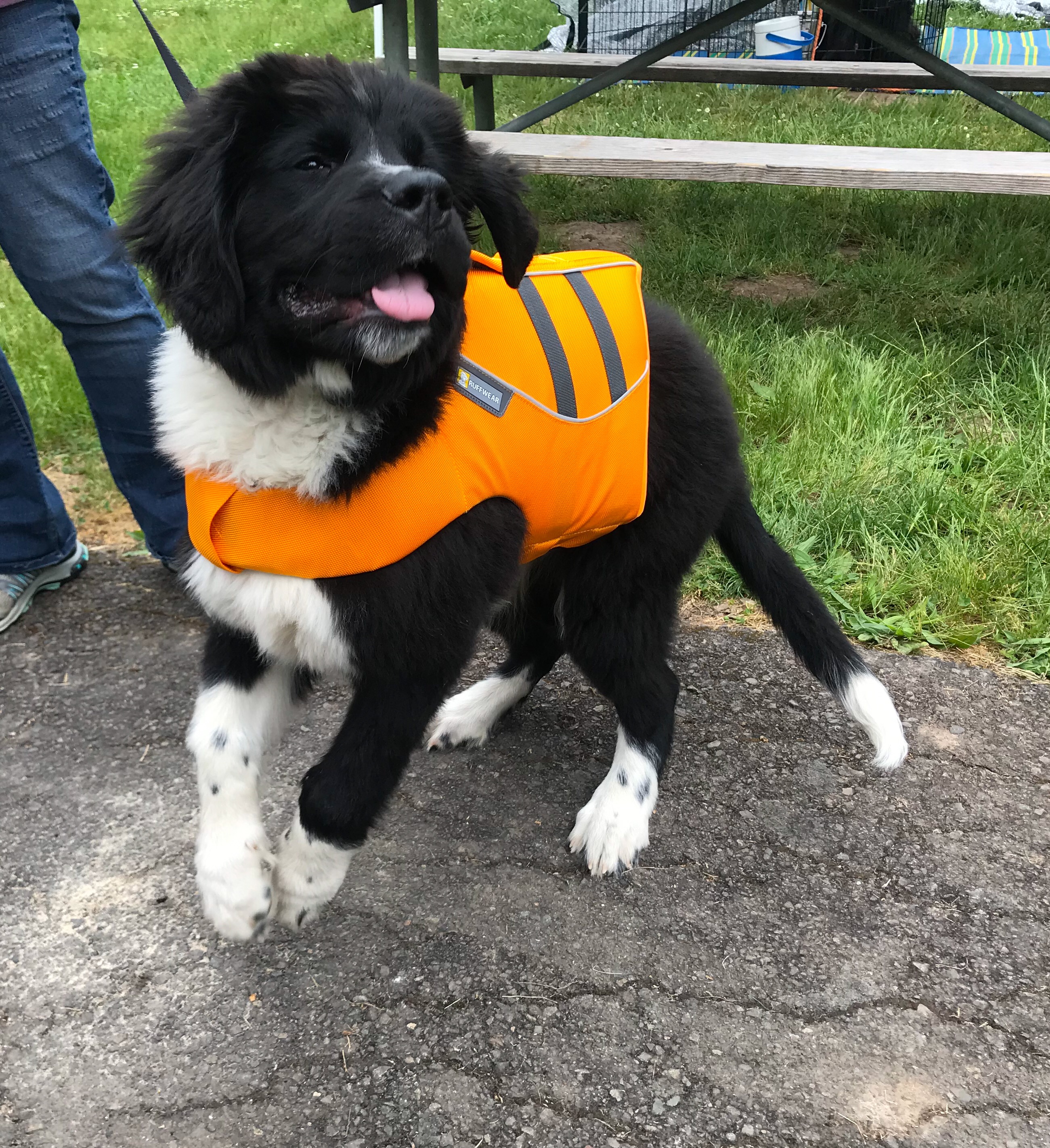 2F95D9D2-AAB6-4101-A65D-0C6DCF8EF74E